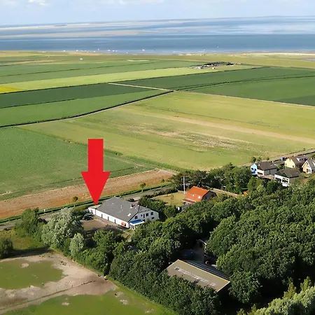 C-65 Stoeterij Ferienhaus De Cocksdorp (Texel)